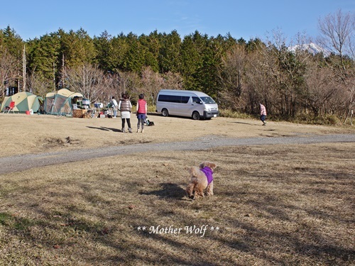 第8回キャンプ『マザーウルフCAMP~2018冬~in 静岡』①前篇_e0191026_10475945.jpg