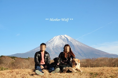 第8回キャンプ『マザーウルフCAMP~2018冬~in 静岡』①前篇_e0191026_17243815.jpg