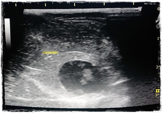 d0179828_13283660.png