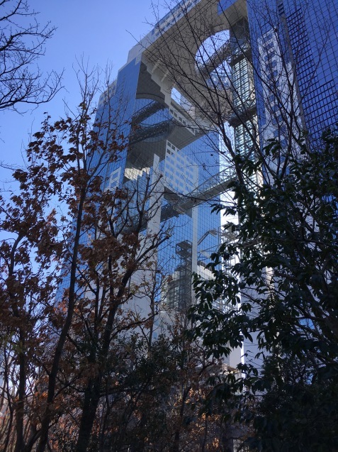 f0068334_14493270.jpeg