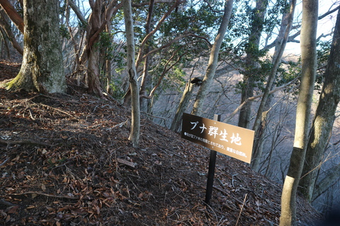 e0272335_1937979.jpg