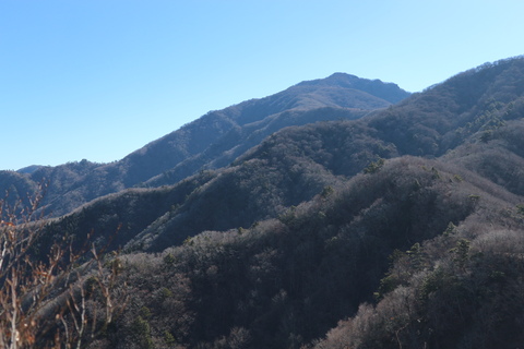 e0272335_19544883.jpg