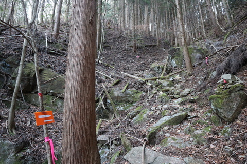 e0272335_1983163.jpg