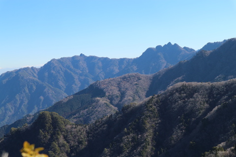 e0272335_2063944.jpg