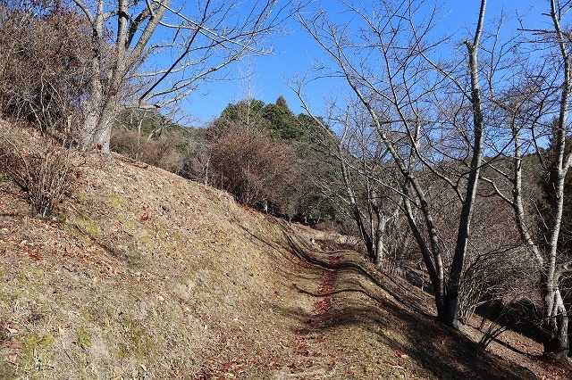 a0242438_21531321.jpg