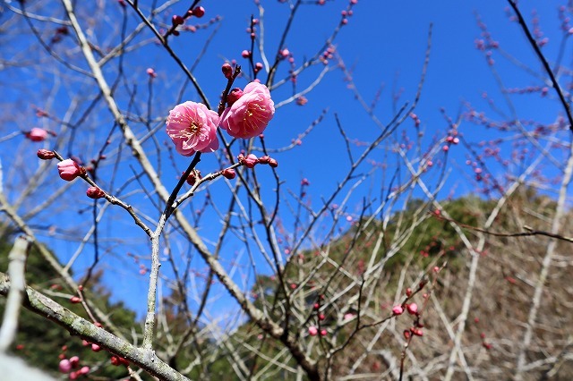 a0242438_21532232.jpg
