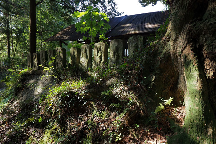 d0149245_15382729.jpg