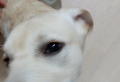 e0364056_16303344.jpg