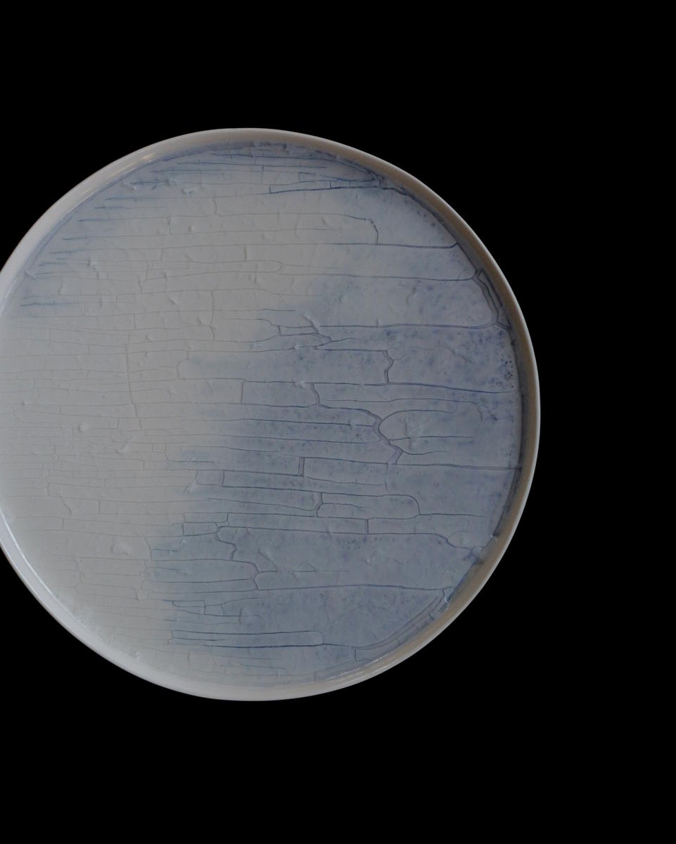 「田中陽子・永草陽平二人展 Glazed Ware」7日目-2_d0087761_15405170.jpg