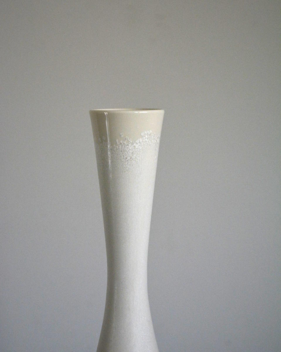 「田中陽子・永草陽平二人展 Glazed Ware」8日目-2_d0087761_23324490.jpg