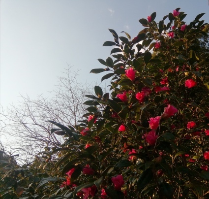 みあげる…_b0368362_21064729.jpg