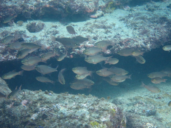 f0164662_15264737.jpg