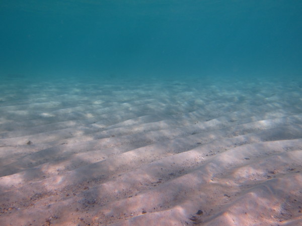 f0164662_15272609.jpg