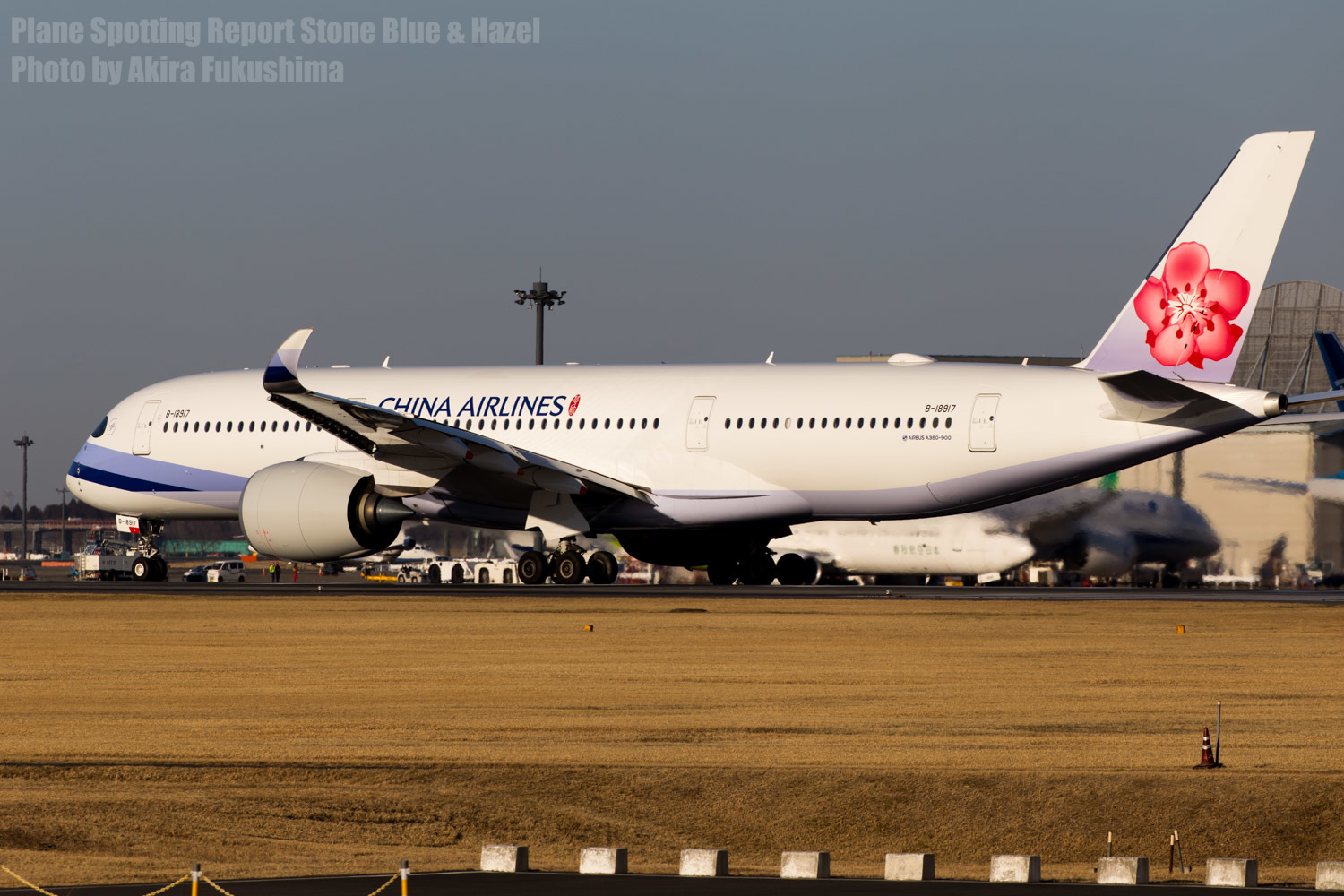 Narita International Airport January 18,2019 Part-1_a0161664_20095392.jpg