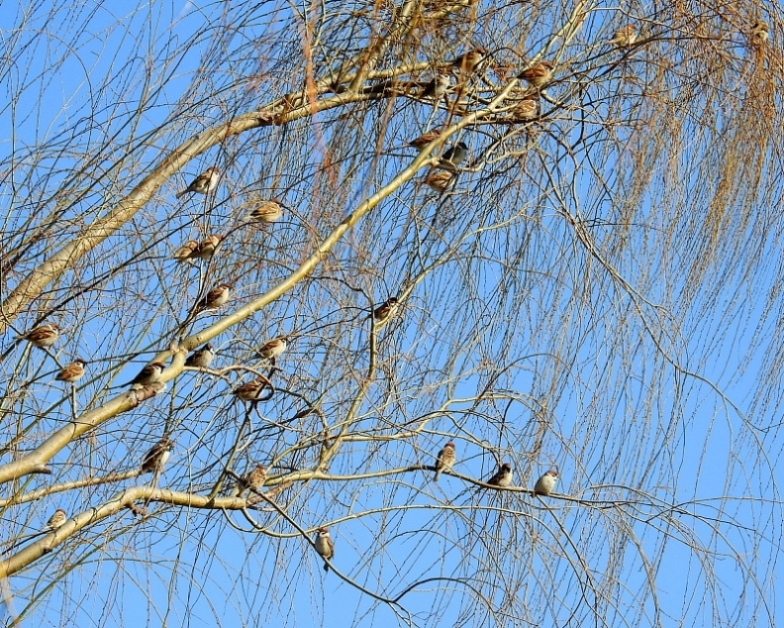 c0305565_17414058.jpg