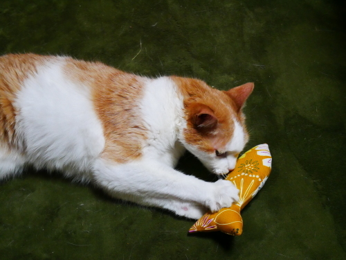 f0054677_09044119.jpg