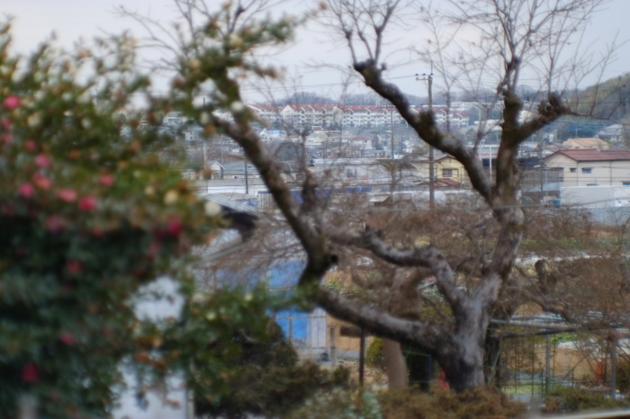 スナップ 遠くの景色 エンジェルの画日記 音楽の散歩道 スナップ 遠くの景色 エンジェルの画日記 音楽の散歩道
