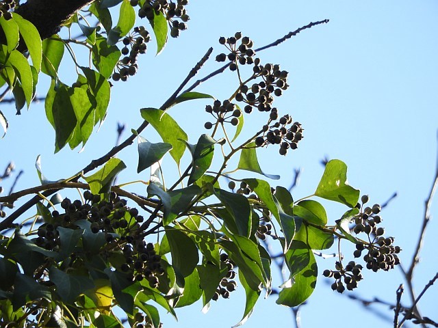 f0378979_19332590.jpg