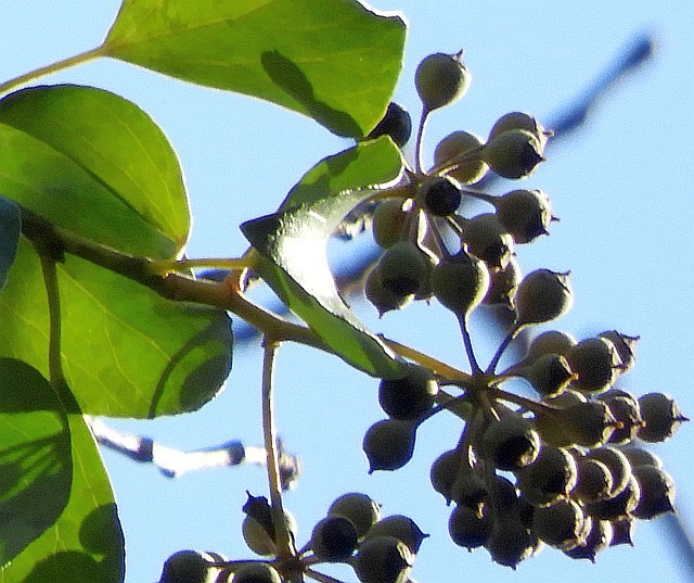 f0378979_19333738.jpg