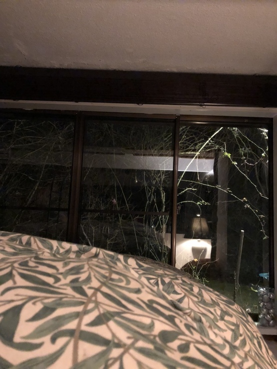 2019年1月18日  熱海 小田原 箱根_b0098584_20352232.jpeg