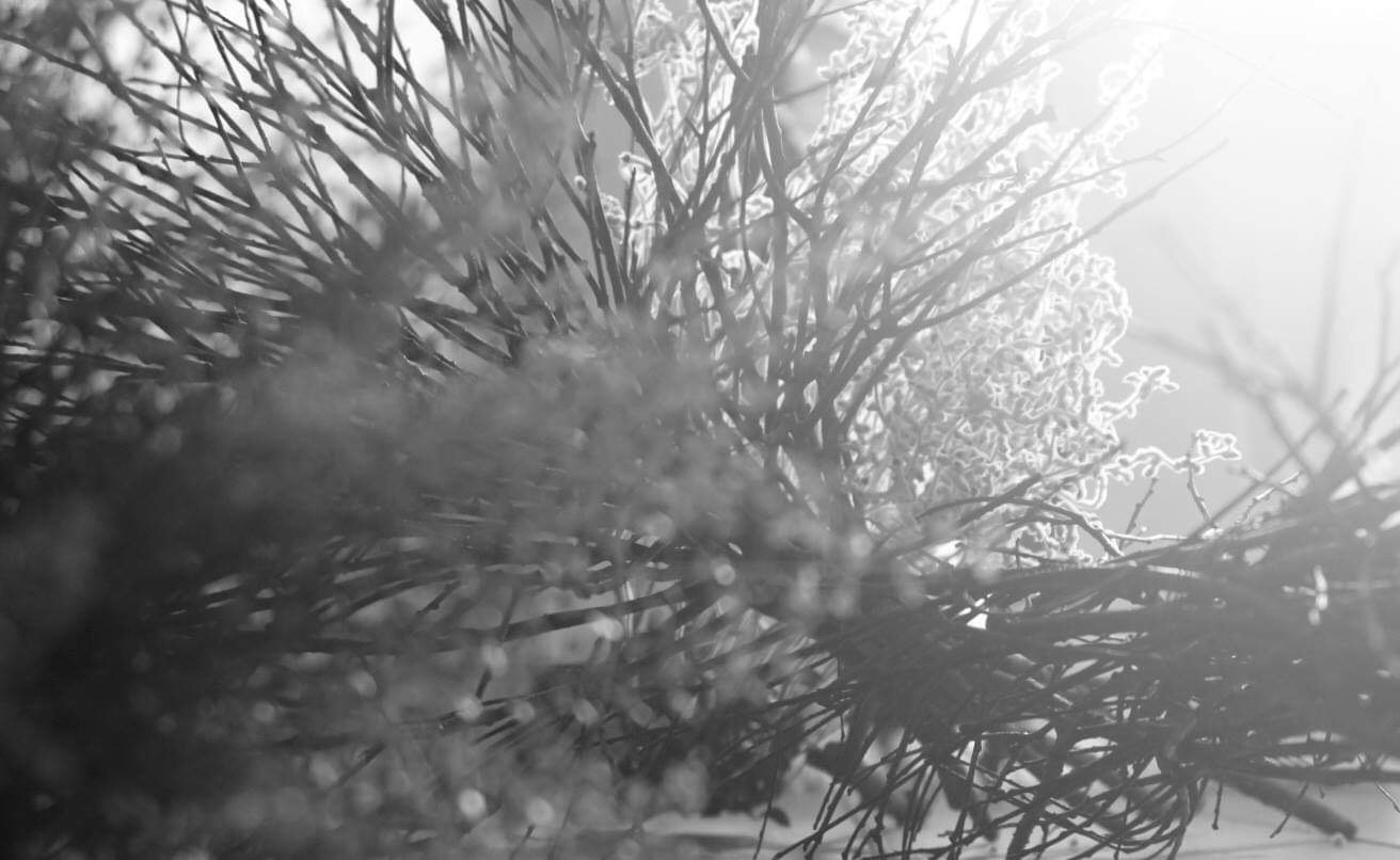 d0104091_11213222.jpeg