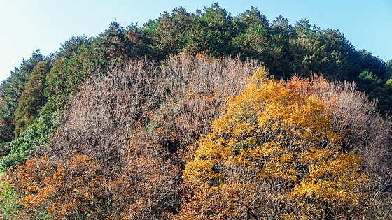 e0176993_16041989.jpg