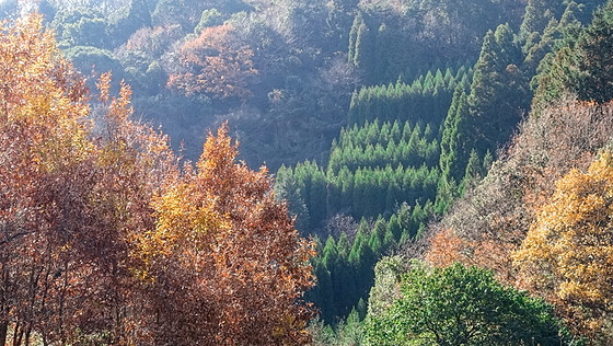 e0176993_16042013.jpg