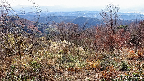 e0176993_16042076.jpg