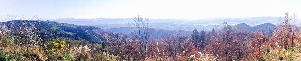 e0176993_16042079.jpg