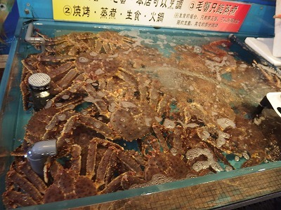 d0074596_18532061.jpg