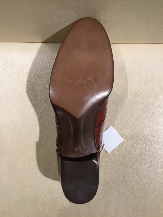 シェットランドフォックス・キーパーフィッティング_d0166598_12071167.jpeg
