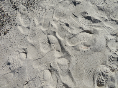 c0125501_17153031.jpg