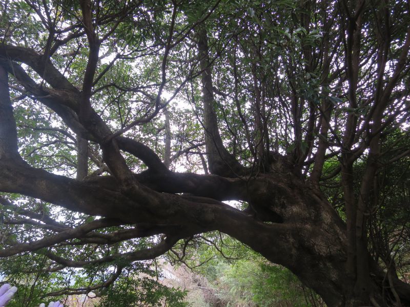 d0360104_00375777.jpg