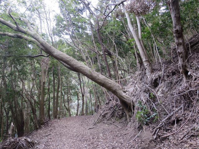 d0360104_00394728.jpg