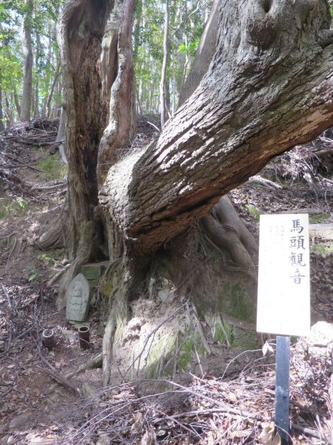 d0360104_00400421.jpg