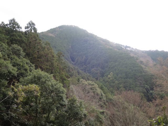 d0360104_00411816.jpg