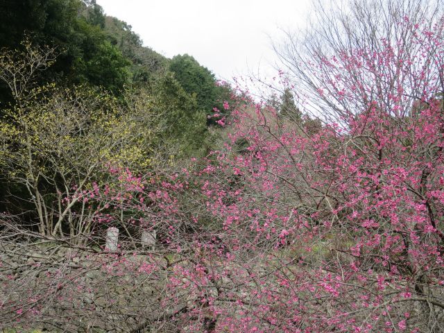 d0360104_00421394.jpg