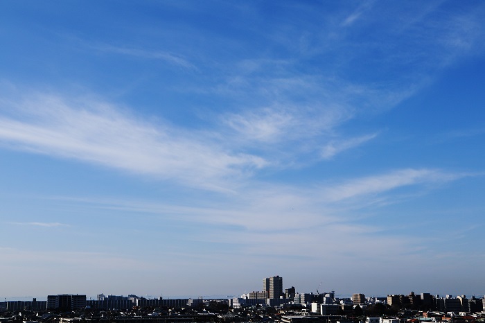 b0268615_8102437.jpg