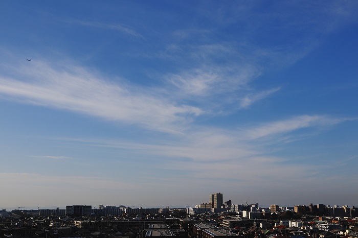 b0268615_8104198.jpg