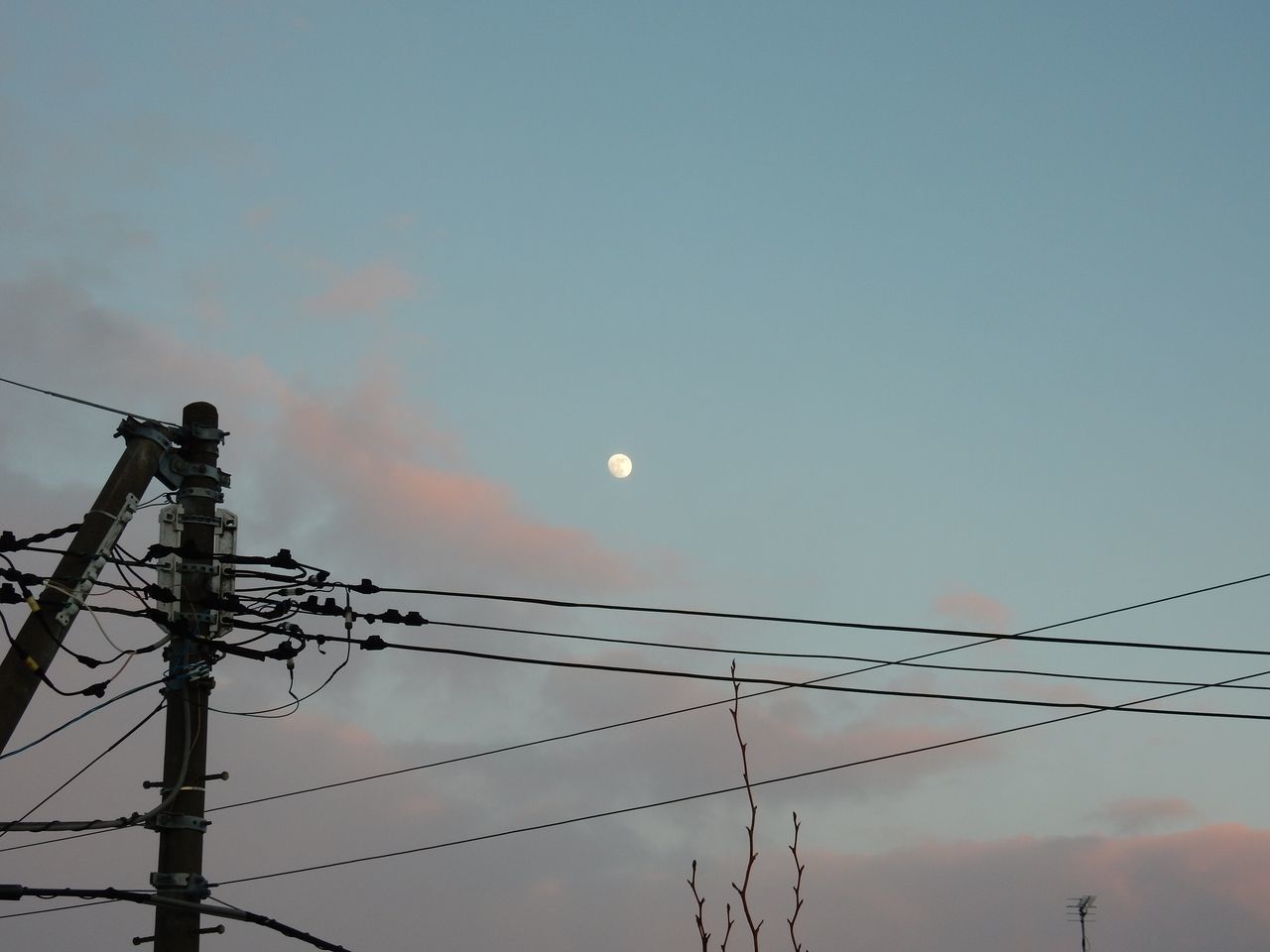 嵐の後は快晴でプラスの気温にもなった_c0025115_22453727.jpg