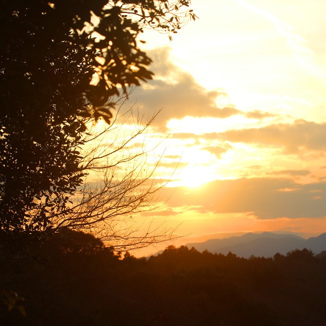 a0329820_22453295.jpg