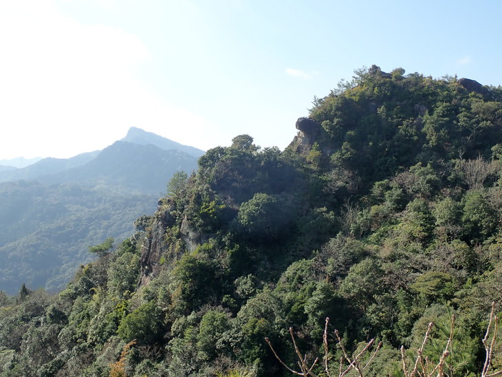 f0193521_203049.jpg