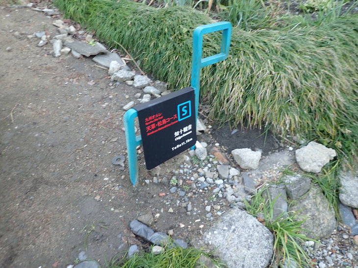 f0193521_637270.jpg