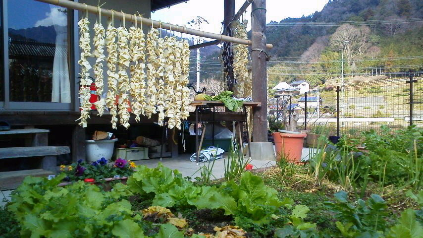 c0089831_9201370.jpg