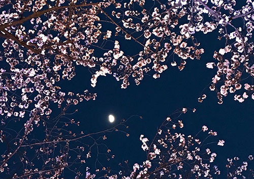 b0035734_19382207.jpg