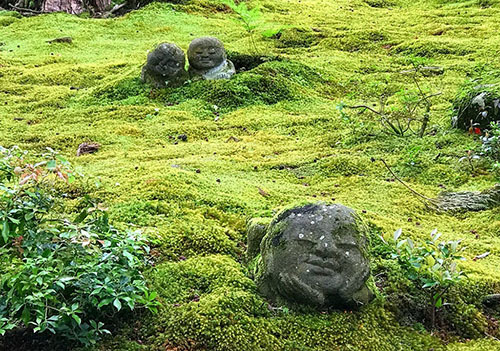 b0035734_19404723.jpg