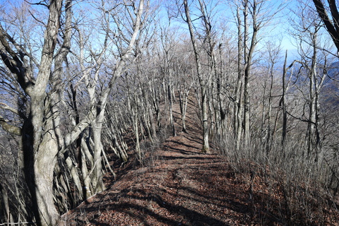 e0272335_4475251.jpg