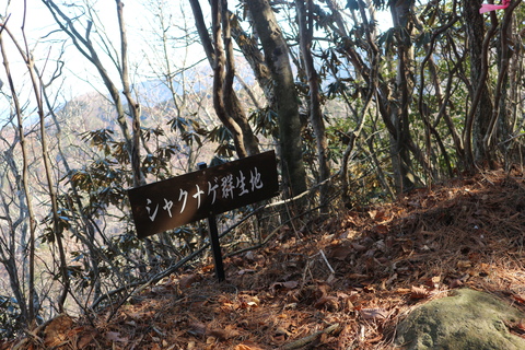 e0272335_4533032.jpg