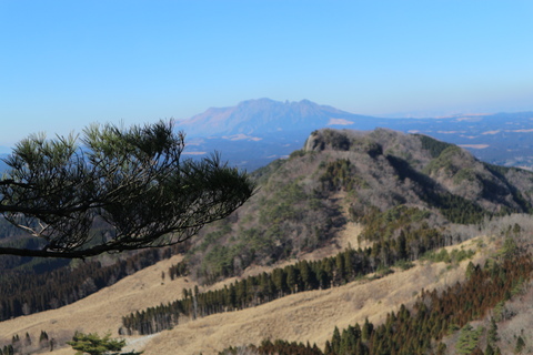 e0272335_455996.jpg