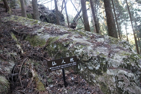 e0272335_511366.jpg